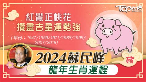 2024年生肖運程 豬|2024 肖豬流年運程 